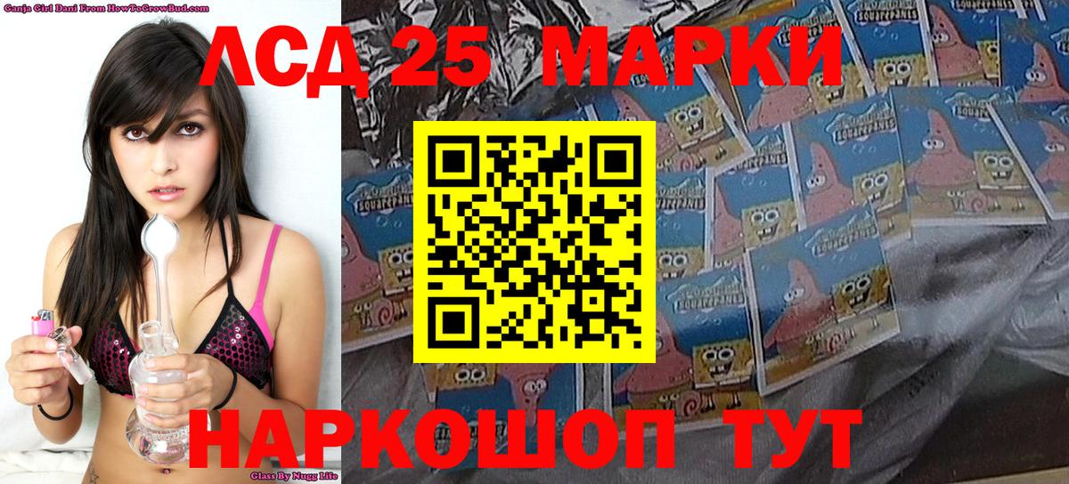 Галлюциногенные грибы Конаково