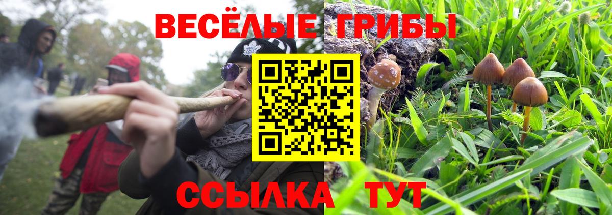 Псилоцибиновые грибы прущие грибы  Вход с VPN  Псилоцибиновые грибы ЛСД  Конаково 