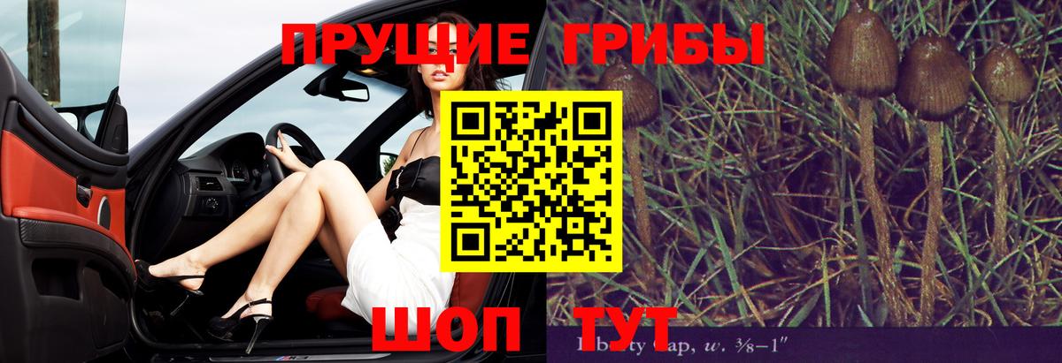 Псилоцибиновые грибы ЛСД Конаково